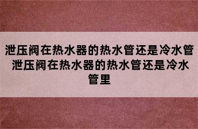 泄压阀在热水器的热水管还是冷水管 泄压阀在热水器的热水管还是冷水管里